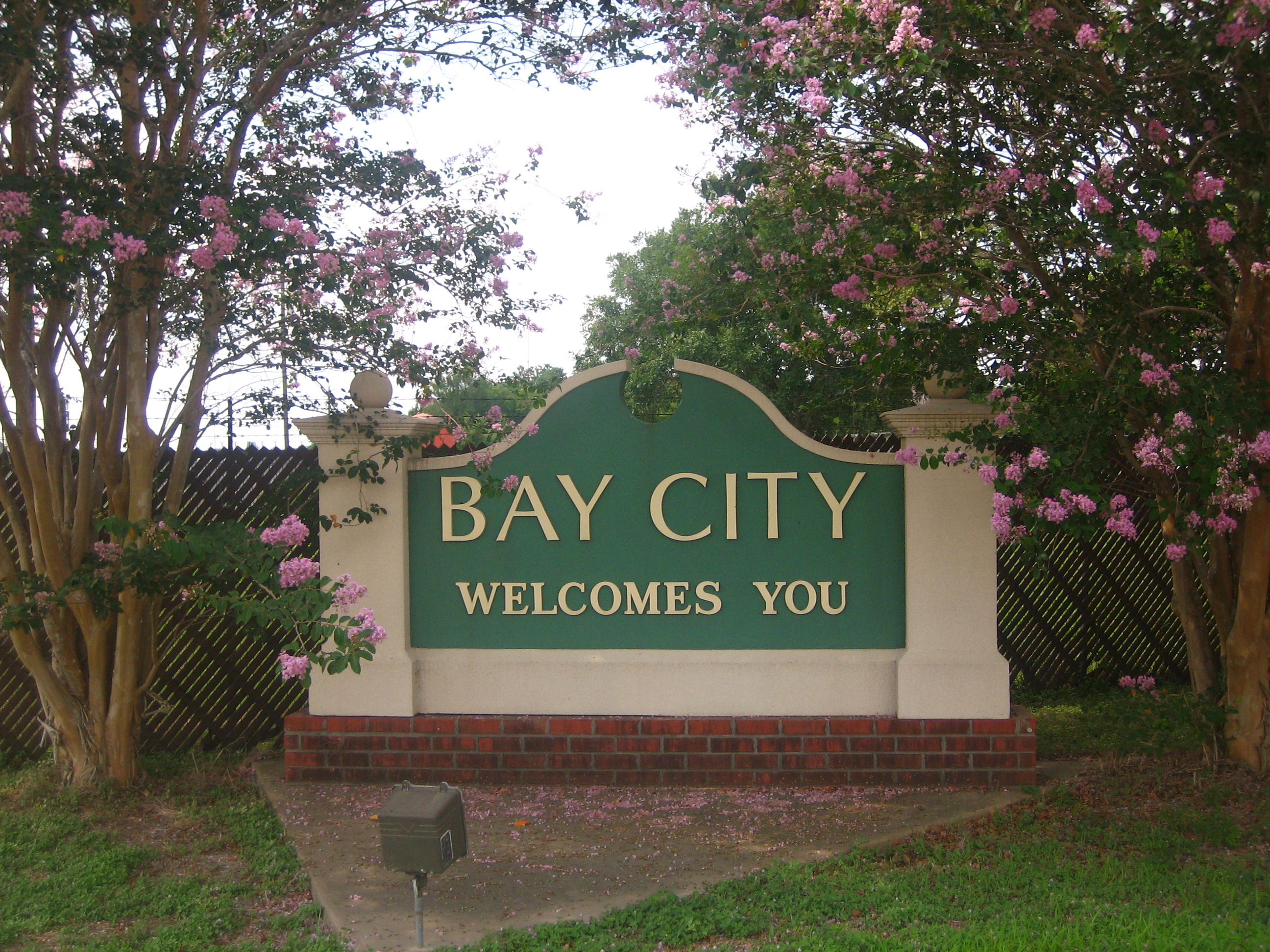 Bay City X-ray film disposal