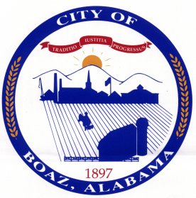 Boaz X-ray film disposal