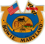 Bowie X-ray film disposal