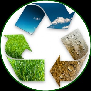 Columbus X-ray film disposal