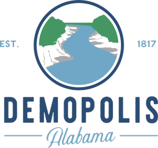 Demopolis X-ray film disposal