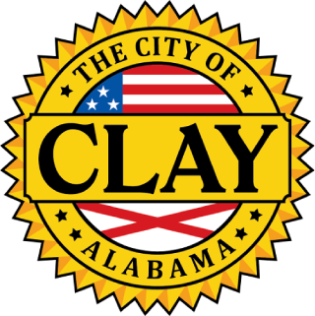 Clay X-ray film disposal