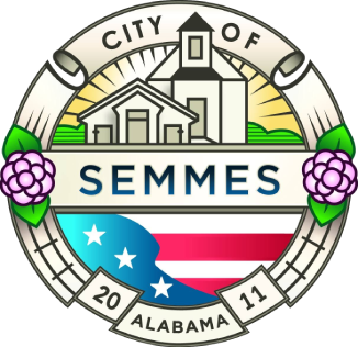 Semmes X-ray film disposal