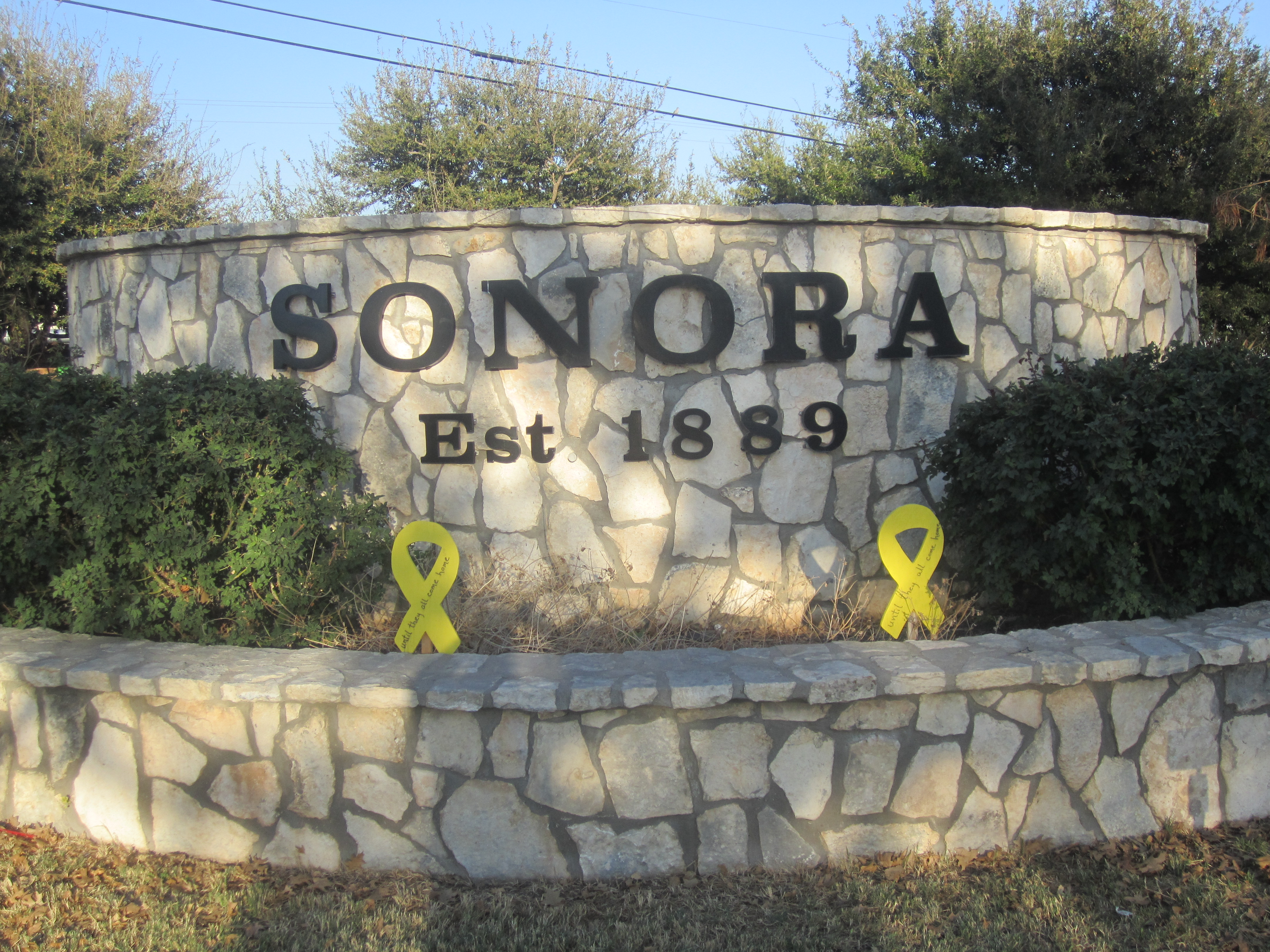 Sonora X-ray film disposal